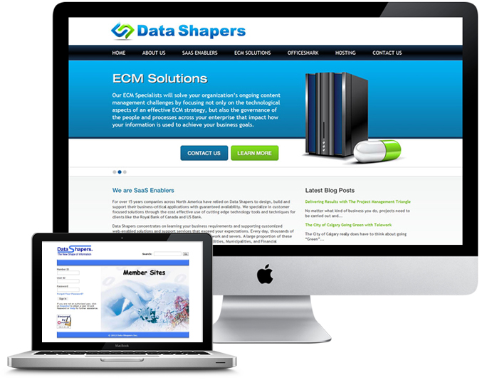 website redesign client Data Shapers