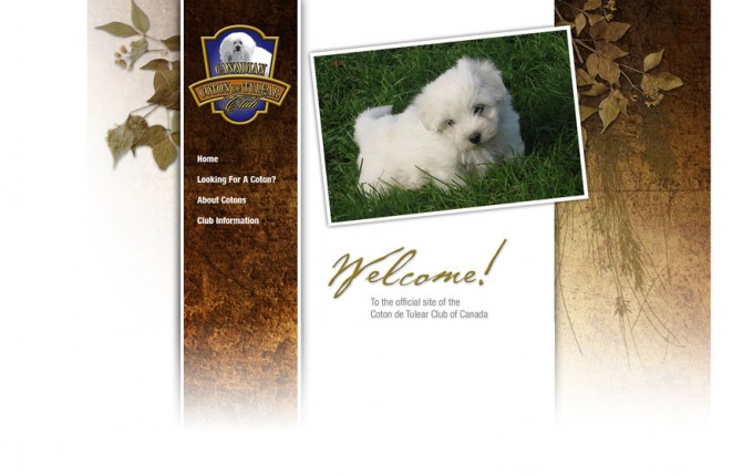 Coton de Tulear Club